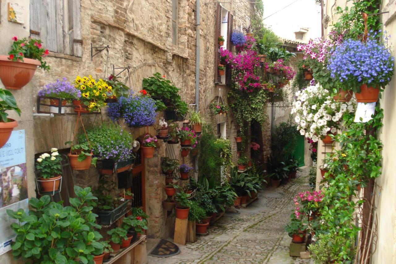 B&B Il Sognatore Perugia Dış mekan fotoğraf