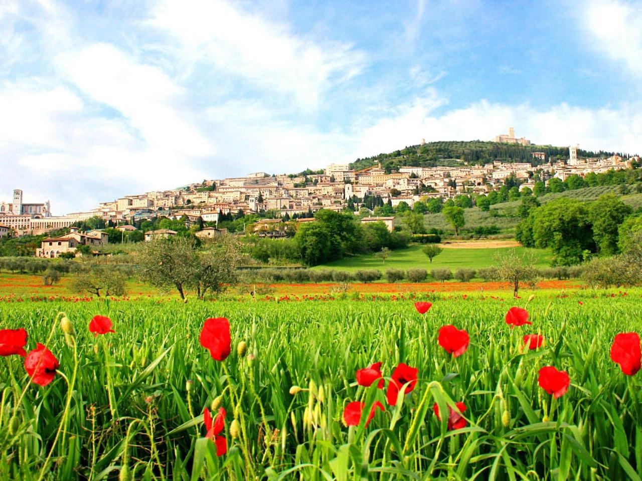 B&B Il Sognatore Perugia Dış mekan fotoğraf